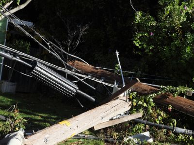 Downed Power Lines